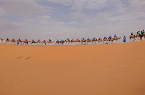 摩洛哥 撒拉拉沙漠