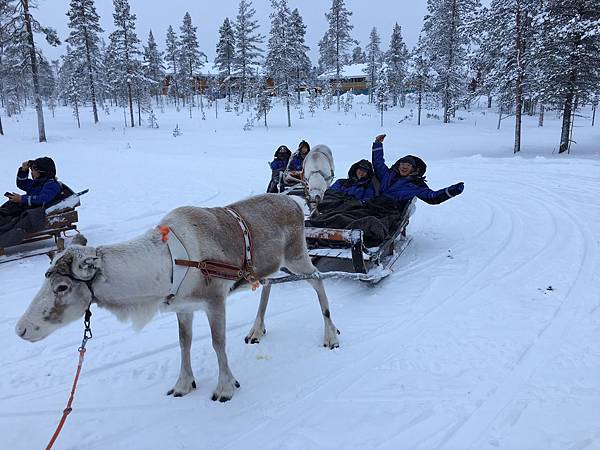 新進旅行社 芬蘭 極光之旅 狗拉雪橇